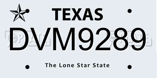 DVM9289 Texas License Plate
