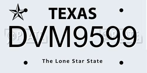 DVM9599 Texas License Plate