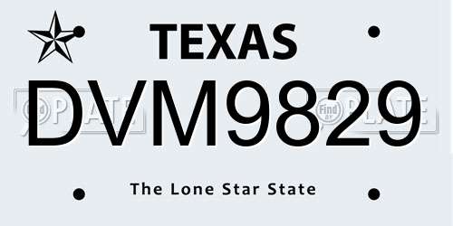 DVM9829 Texas License Plate