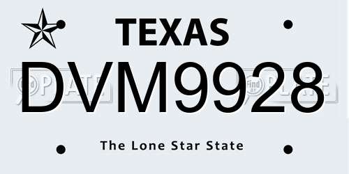 DVM9928 Texas License Plate