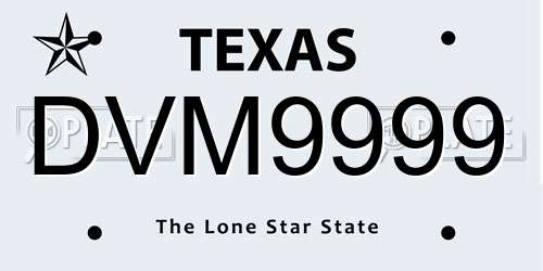 DVM9999 Texas License Plate