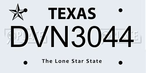 DVN3044 Texas License Plate