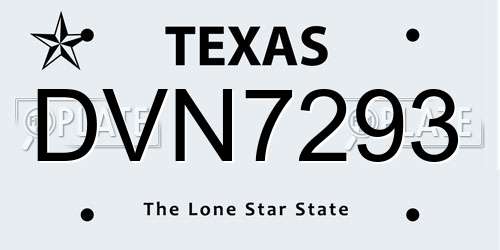 DVN7293 Texas License Plate