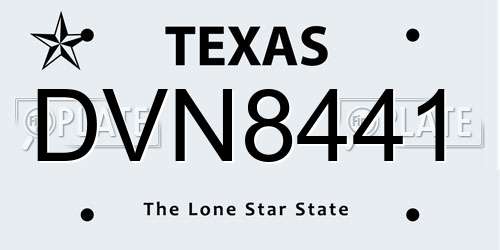 DVN8441 Texas License Plate