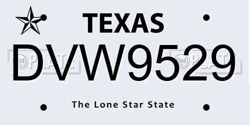 DVW9529 Texas License Plate