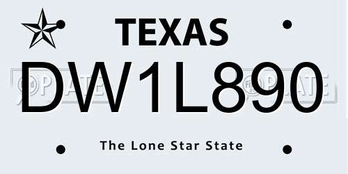 DW1L890 Texas License Plate