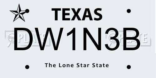 DW1N3B Texas License Plate