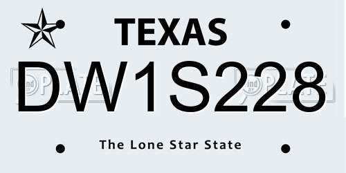 DW1S228 Texas License Plate