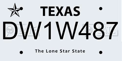 DW1W487 Texas License Plate