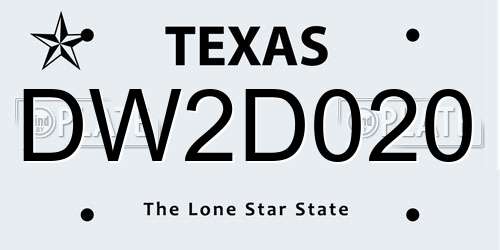 DW2D020 Texas License Plate