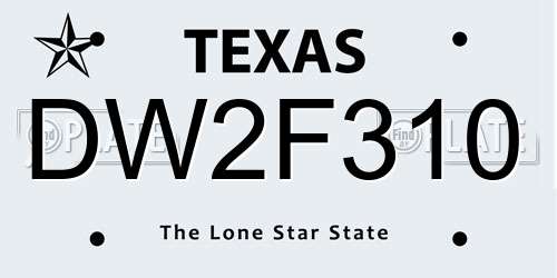 DW2F310 Texas License Plate