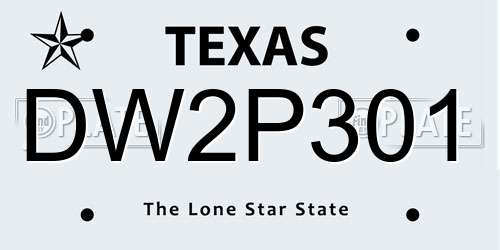 DW2P301 Texas License Plate