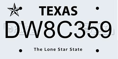 DW8C359 Texas License Plate