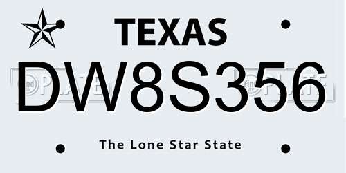DW8S356 Texas License Plate