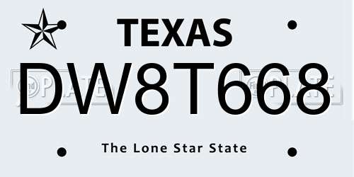 DW8T668 Texas License Plate