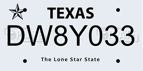 DW8Y033 Texas License Plate