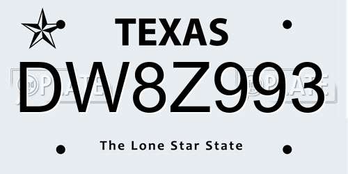 DW8Z993 Texas License Plate