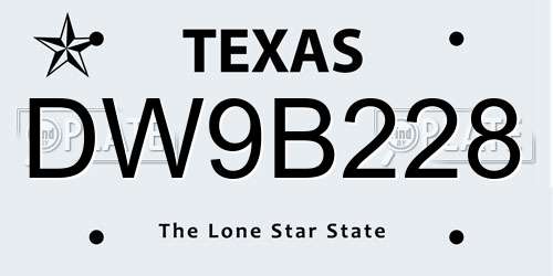 DW9B228 Texas License Plate