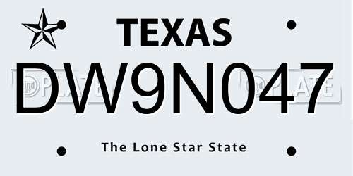 DW9N047 Texas License Plate