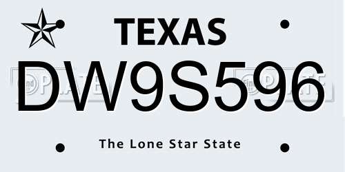 DW9S596 Texas License Plate