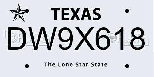DW9X618 Texas License Plate