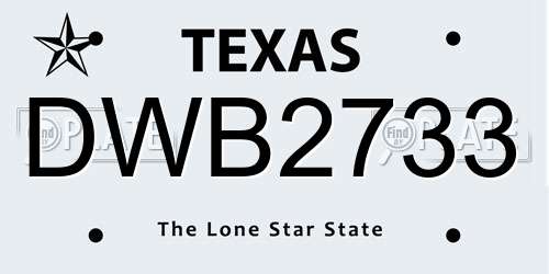 DWB2733 Texas License Plate