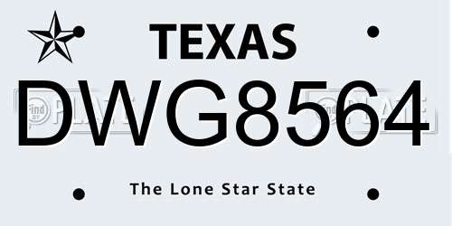 DWG8564 Texas License Plate