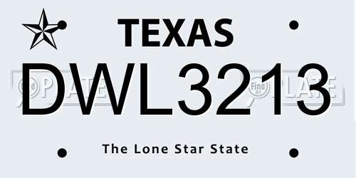 DWL3213 Texas License Plate