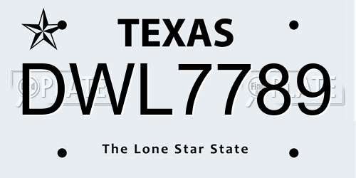DWL7789 Texas License Plate