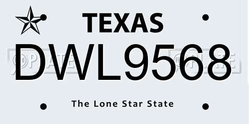 DWL9568 Texas License Plate