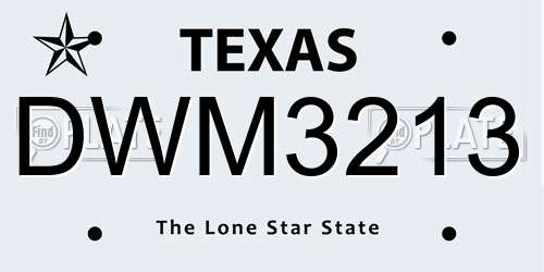 DWM3213 Texas License Plate