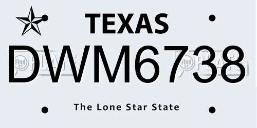 DWM6738 Texas License Plate