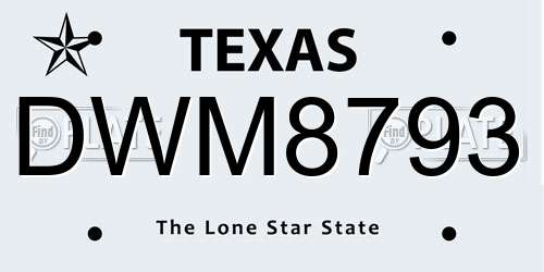 DWM8793 Texas License Plate