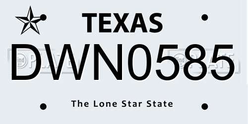 DWN0585 Texas License Plate