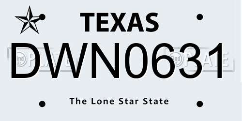 DWN0631 Texas License Plate