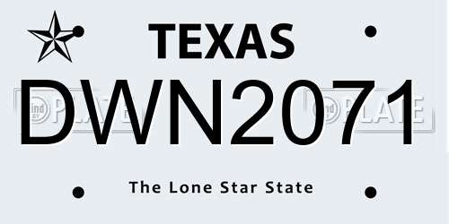 DWN2071 Texas License Plate