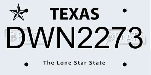 DWN2273 Texas License Plate