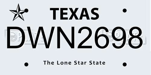 DWN2698 Texas License Plate