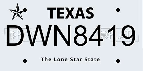 DWN8419 Texas License Plate