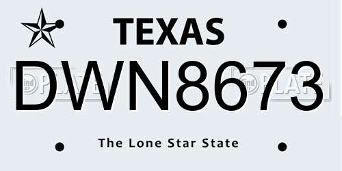 DWN8673 Texas License Plate