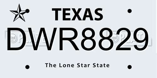 DWR8829 Texas License Plate