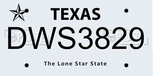 DWS3829 Texas License Plate
