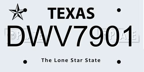 DWV7901 Texas License Plate
