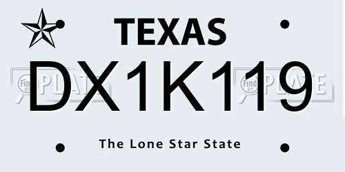 DX1K119 Texas License Plate