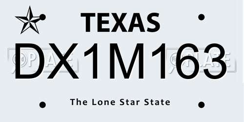 DX1M163 Texas License Plate