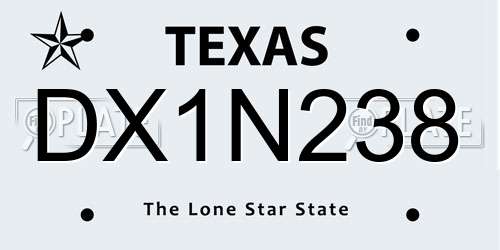 DX1N238 Texas License Plate