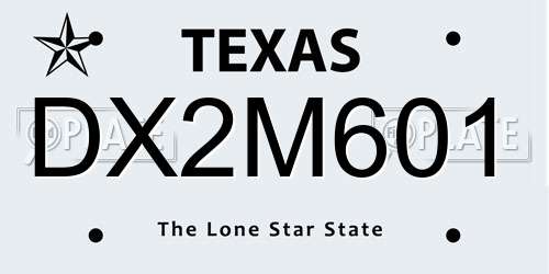 DX2M601 Texas License Plate