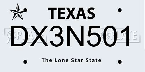 DX3N501 Texas License Plate