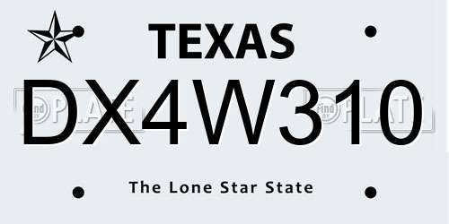 DX4W310 Texas License Plate