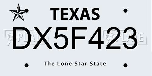 DX5F423 Texas License Plate